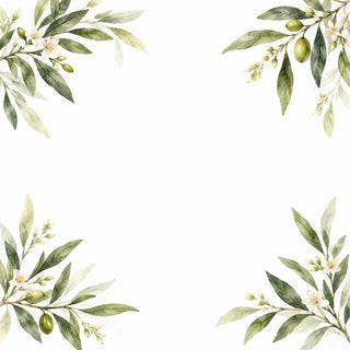Olive branches